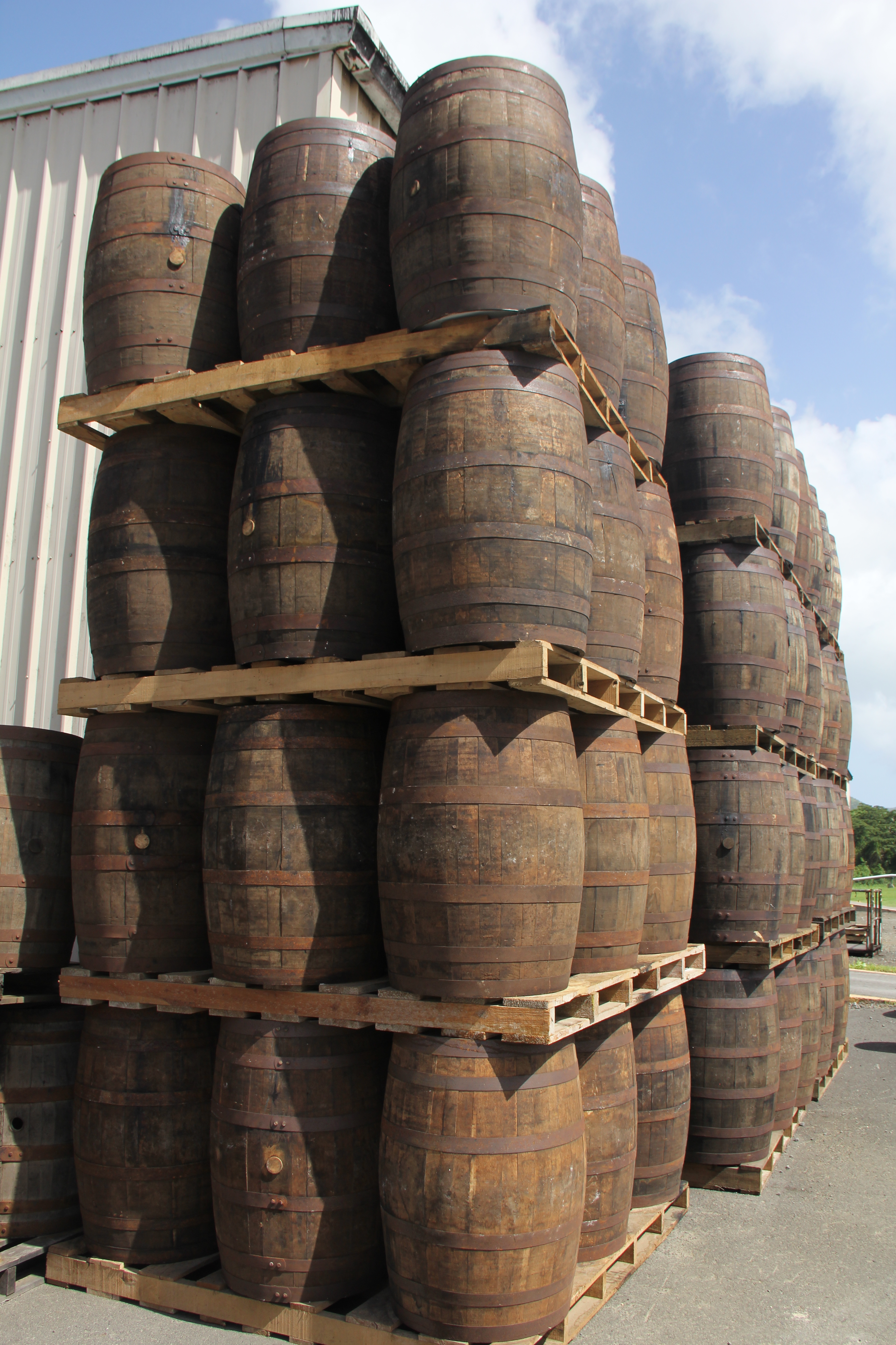 Cruzan Rum distillery tour must see st. croix us virgin islands
