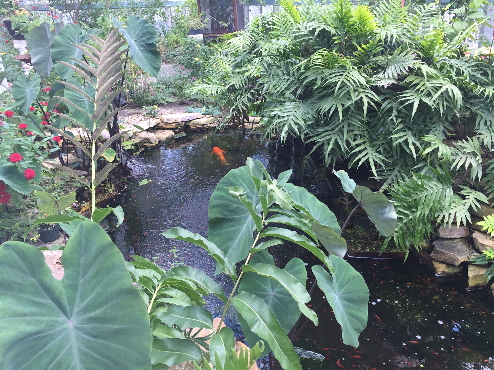 The Butterfly Estates in Fort Myers A Cupful of Carters