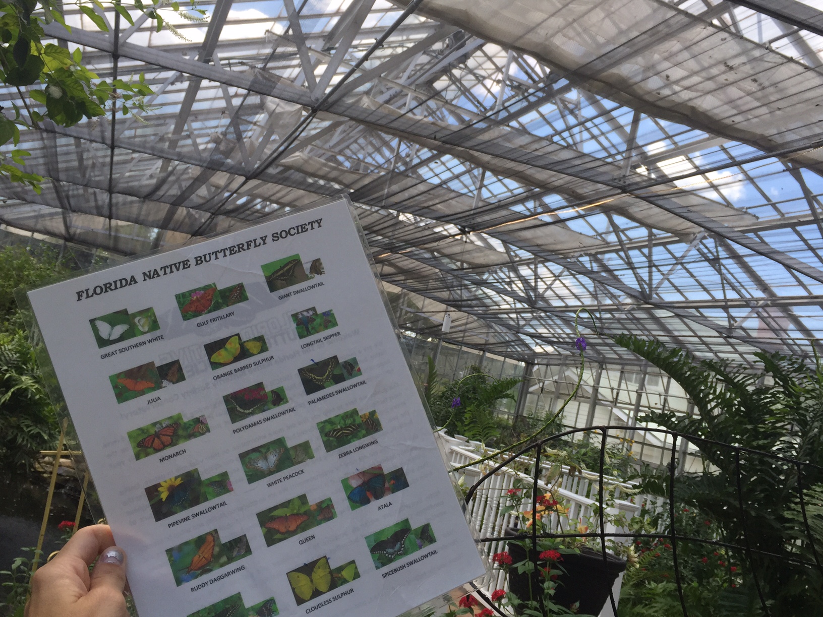 The Butterfly Estates in Fort Myers A Cupful of Carters