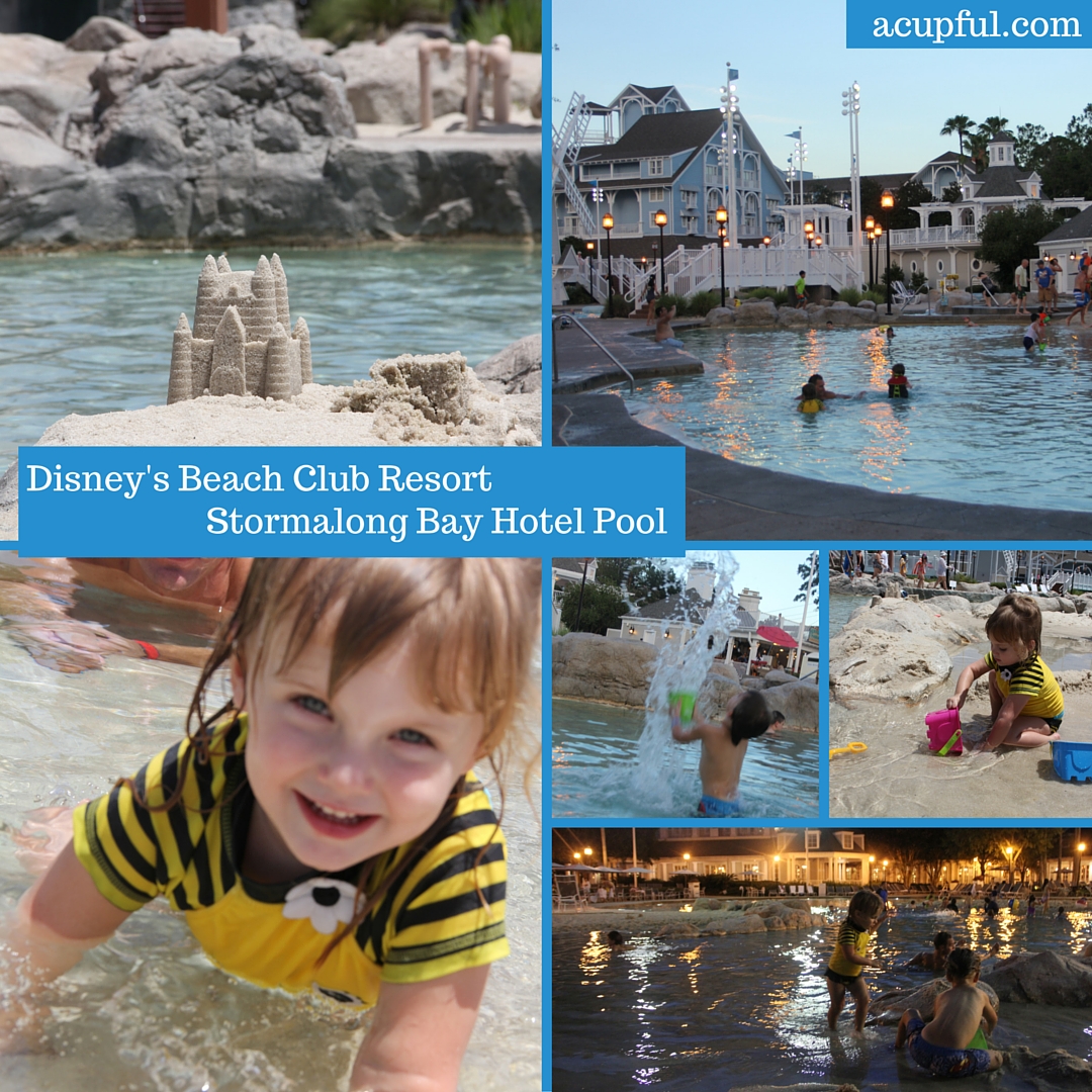 Disney's Beach Club Resort pool