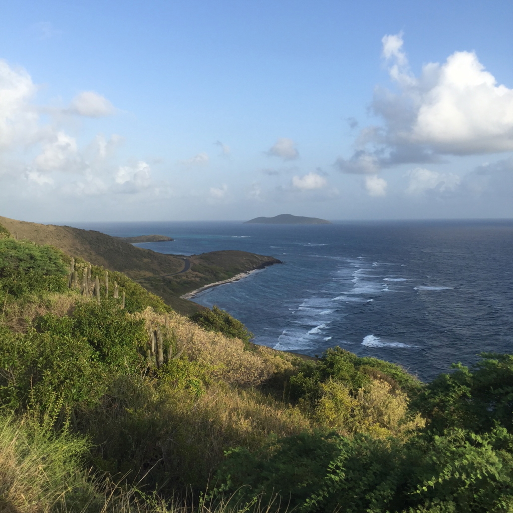 Point Udall sunrise St Croix - a cupful of carters- mandy carter