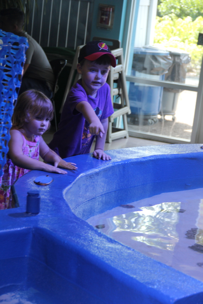 Imaginarium in Fort Myers - a cupful of carters - things to do with kids in Southwest Florida