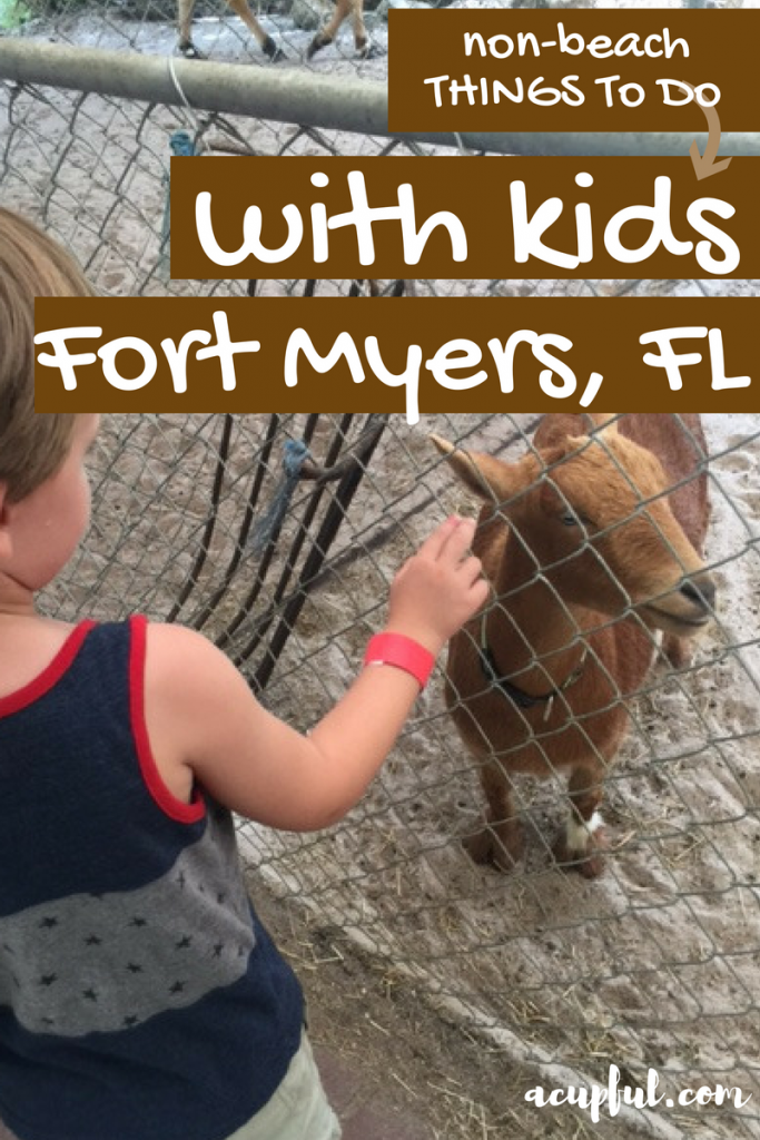 THings to do in Fort Myers with children - a cupful of carters - mandy carter
