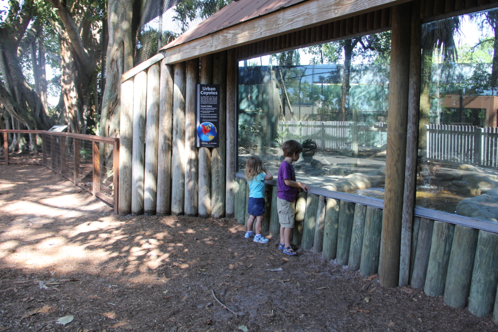 naples zoo | things to do in Southwest Florida