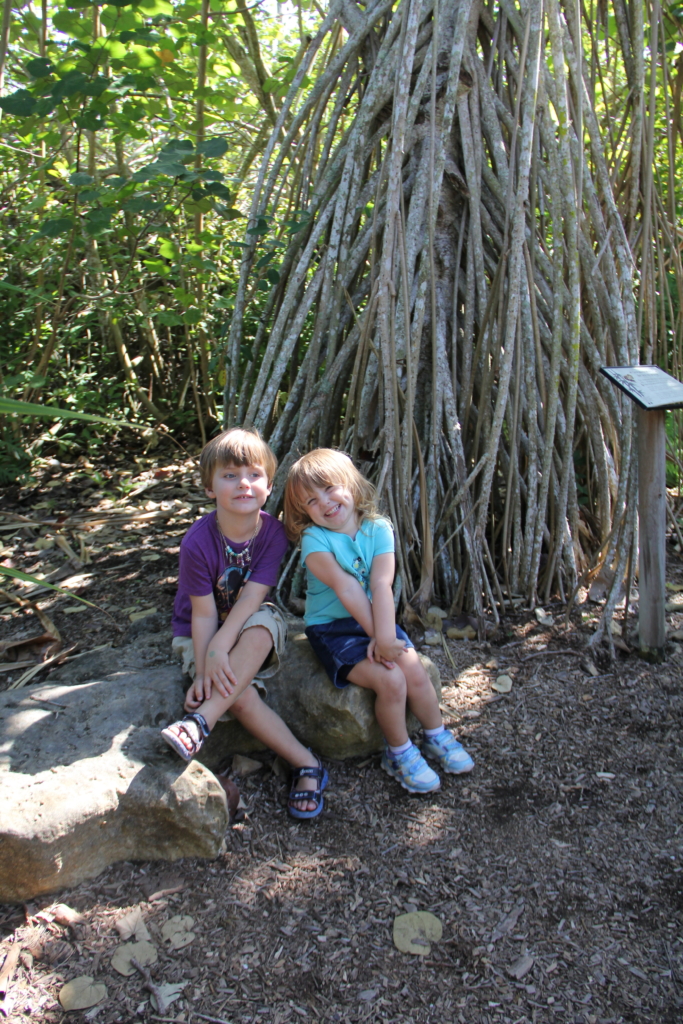 Zoo in Naples, Fl - a cupful of carters - things to do with kids in Southwest Florida