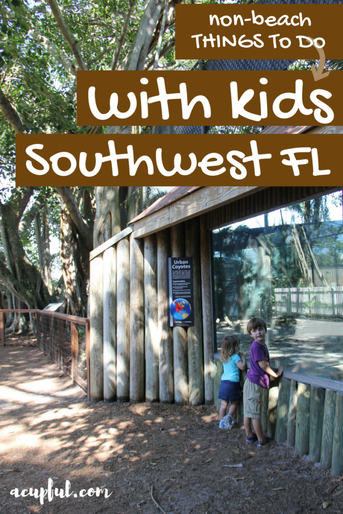 naples zoo | things to do in Southwest Florida