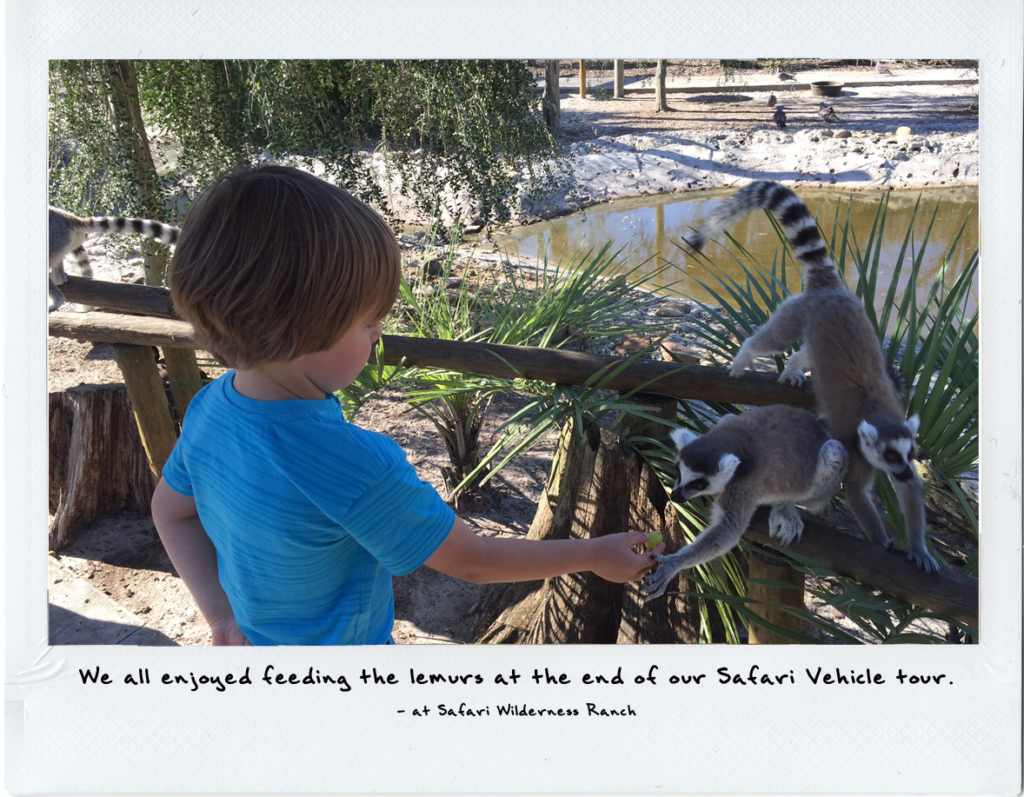 Central Florida Family attractions | 3 day vacation in central florida | acupful.com | A Cupful of Carters | central florida | Safari wilderness | things to do with kids in central florida