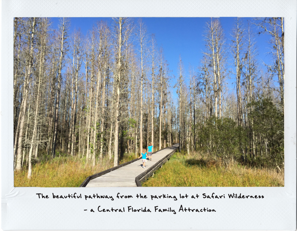 Central Florida Family attractions | 3 day vacation in central florida | acupful.com | A Cupful of Carters | central florida | Safari wilderness | things to do with kids in central florida