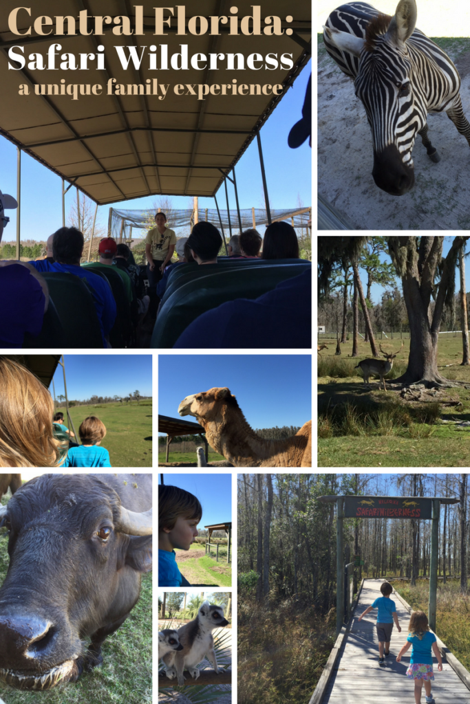 Safari Wilderness Ranch with kids | wildlife safari Central Florida attractions