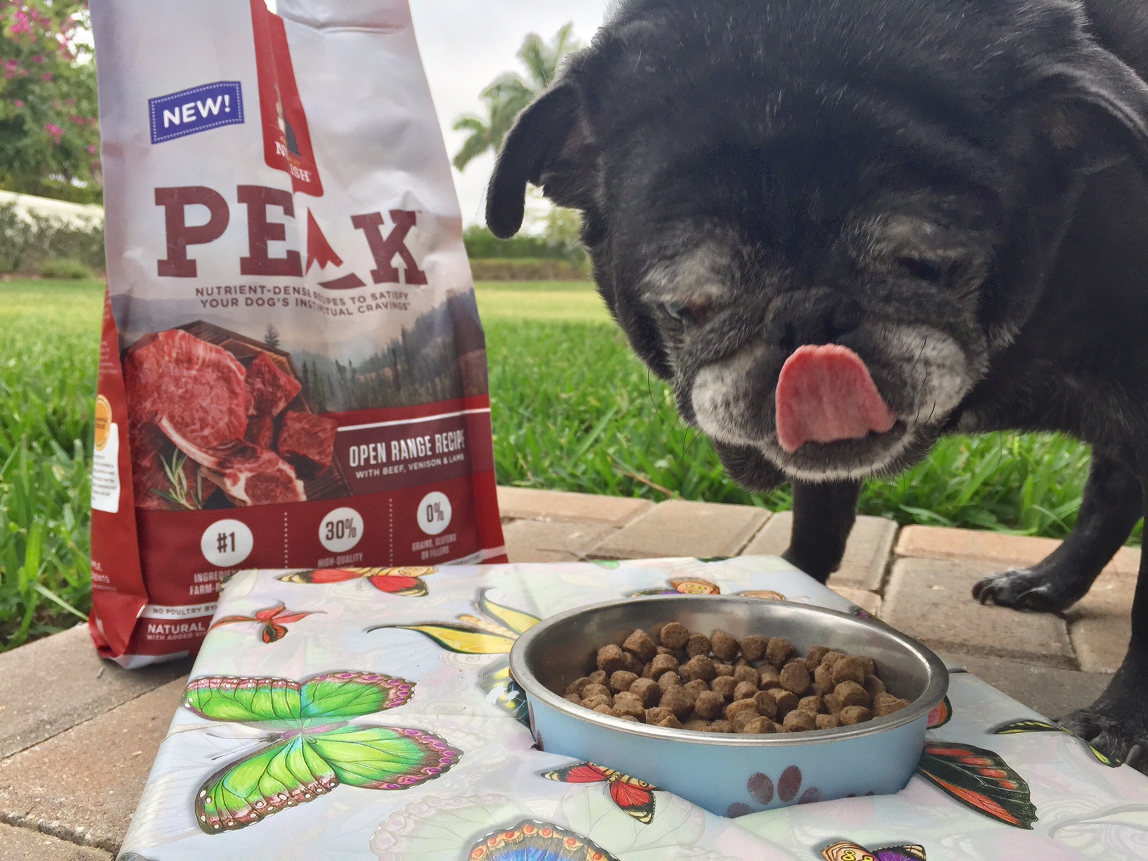 Every family member desrves delicious and nutritious food. Introducing the new Nutrish PEAK Recipe to our dog inspired this Lamb meatball recipe for the family | Rachel Ray's Nutrish PEAK Open Range Recipe | #MyNutrishPeak | dog food | lamb recipes