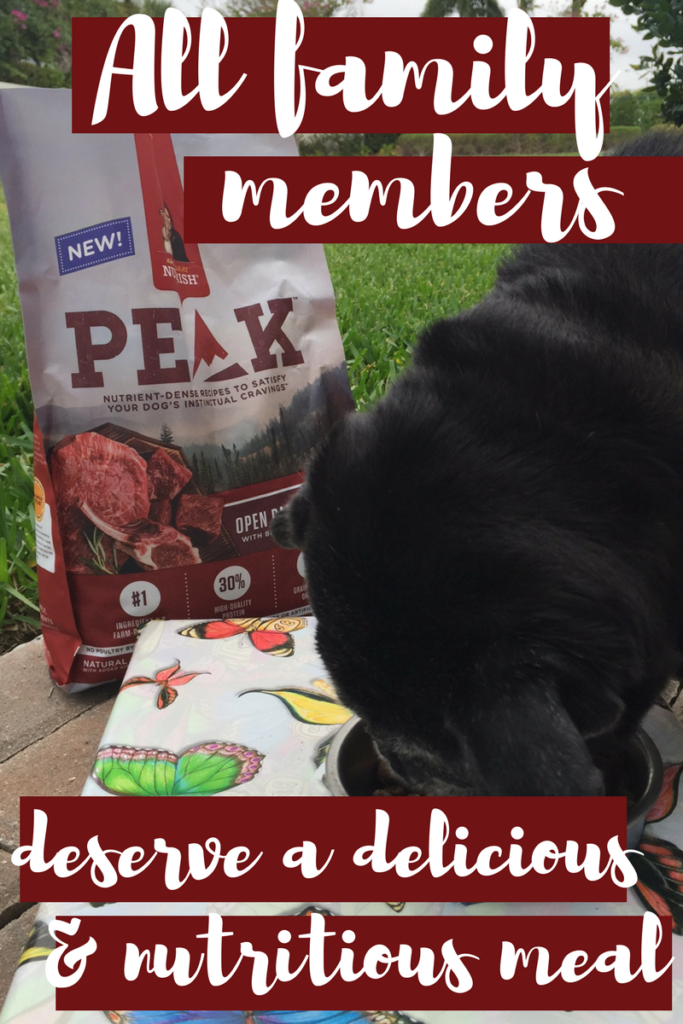 ember desrves delicious and nutritious food. Introducing the new Nutrish PEAK Recipe to our dog inspired this Lamb meatball recipe for the family | Rachel Ray's Nutrish PEAK Open Range Recipe | #MyNutrishPeak | dog food | lamb recipes
