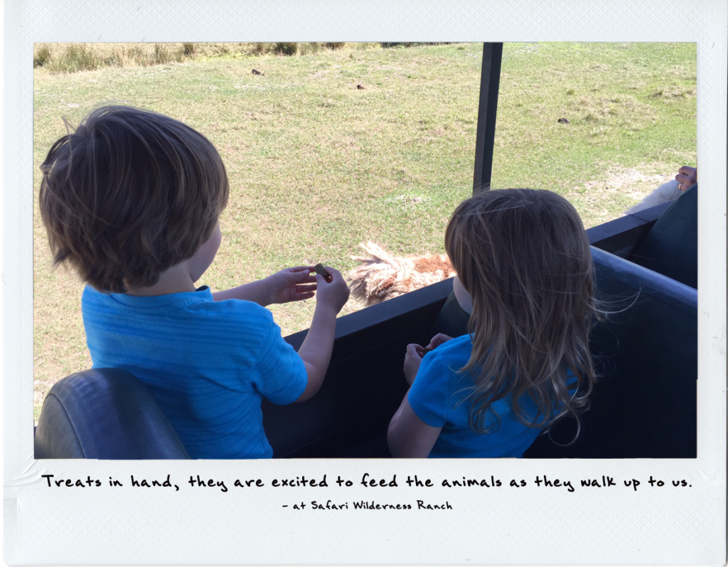 Safari Wilderness Ranch with kids | wildlife safari Orlando | acupful.com | A Cupful of Carters | family travel | Central Florida | #visitcentralFl