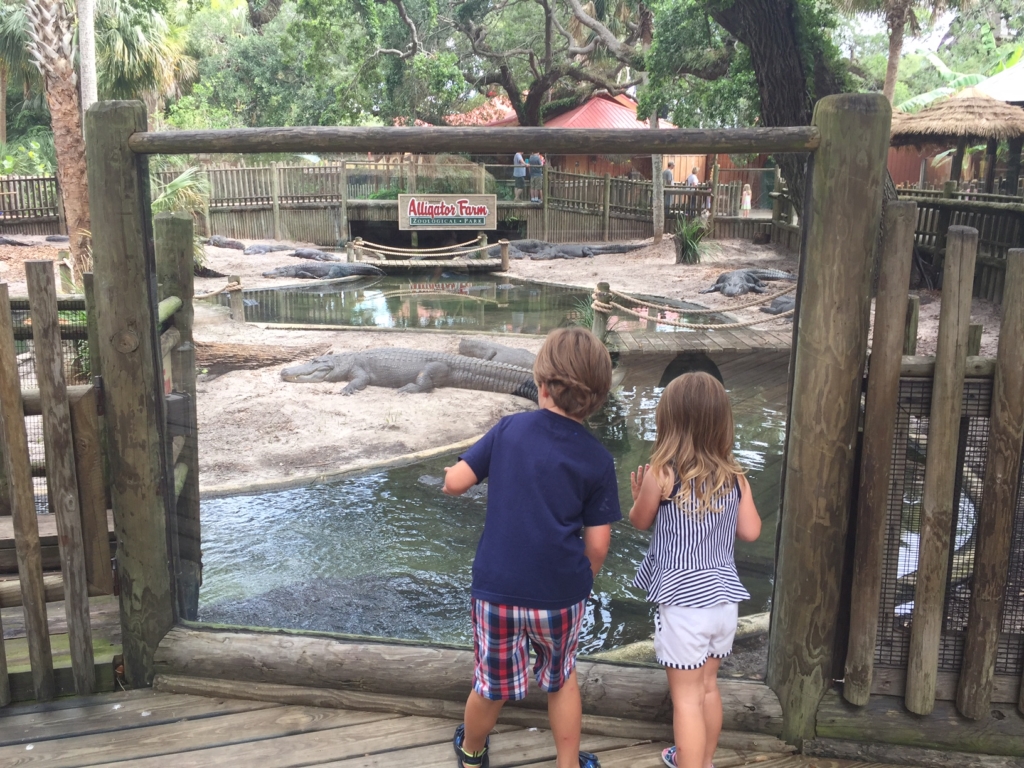 St Augustine Florida | Things to do with kids in St Augustine | Travel with kids | Family Travel Blog | Mandy Carter florida Travel writer | Acupful.com travel blog | Florida Travel | travel florida with kids | #SeeAllofFlorida | #LoveFl | Alligator Farm