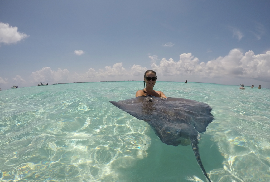 Visit Stingray City Cayman Islands | THings to do in the Grand Cayman | Swim with Stingrays | Mandy Carter travel writer | Acupful.com family travel blog | Caymans attractions | Red Sail Sports tour to Rum Point and Stingray City