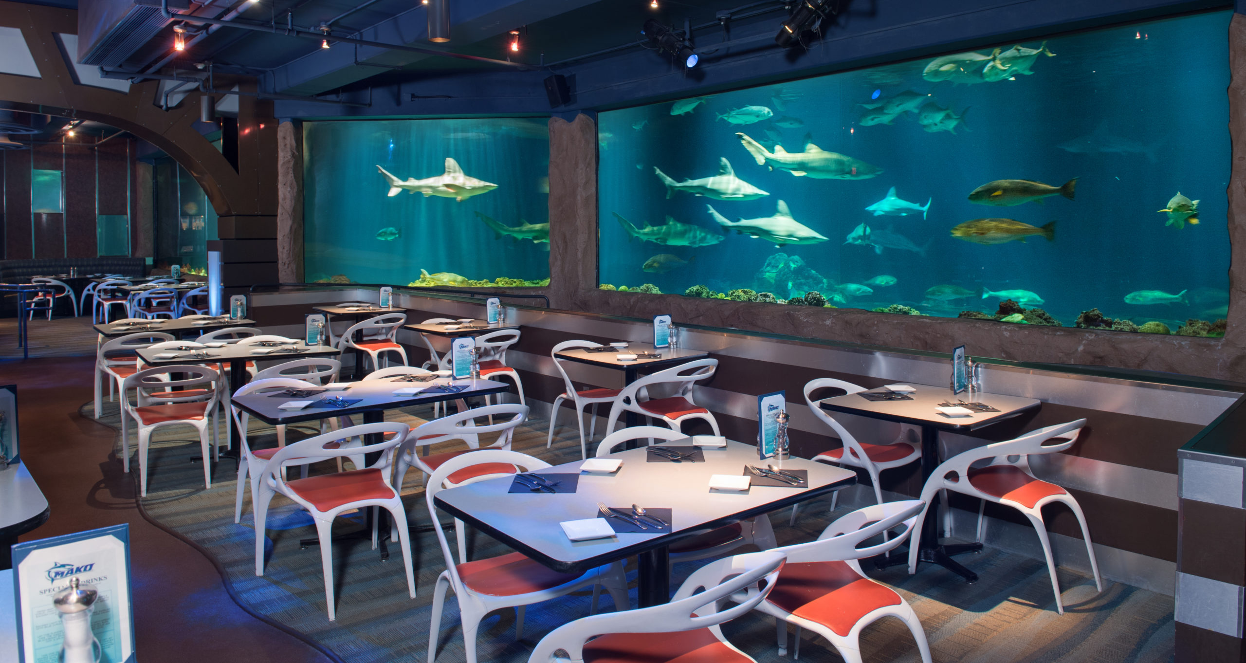 Orlando Magical Dining Month offers limited time special at Sharks Underwater Grill at SeaWorld | Acupful.com travel blog | Orlando family dining