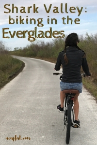 Everglades National Park | Shark Valley | Biking through the Everglades | Florida parks | South Florida must do | outdoor activities in Miami Florida | Florida Everglades | Where to see alligators in FLorida | Acupful.com | Family travel blog