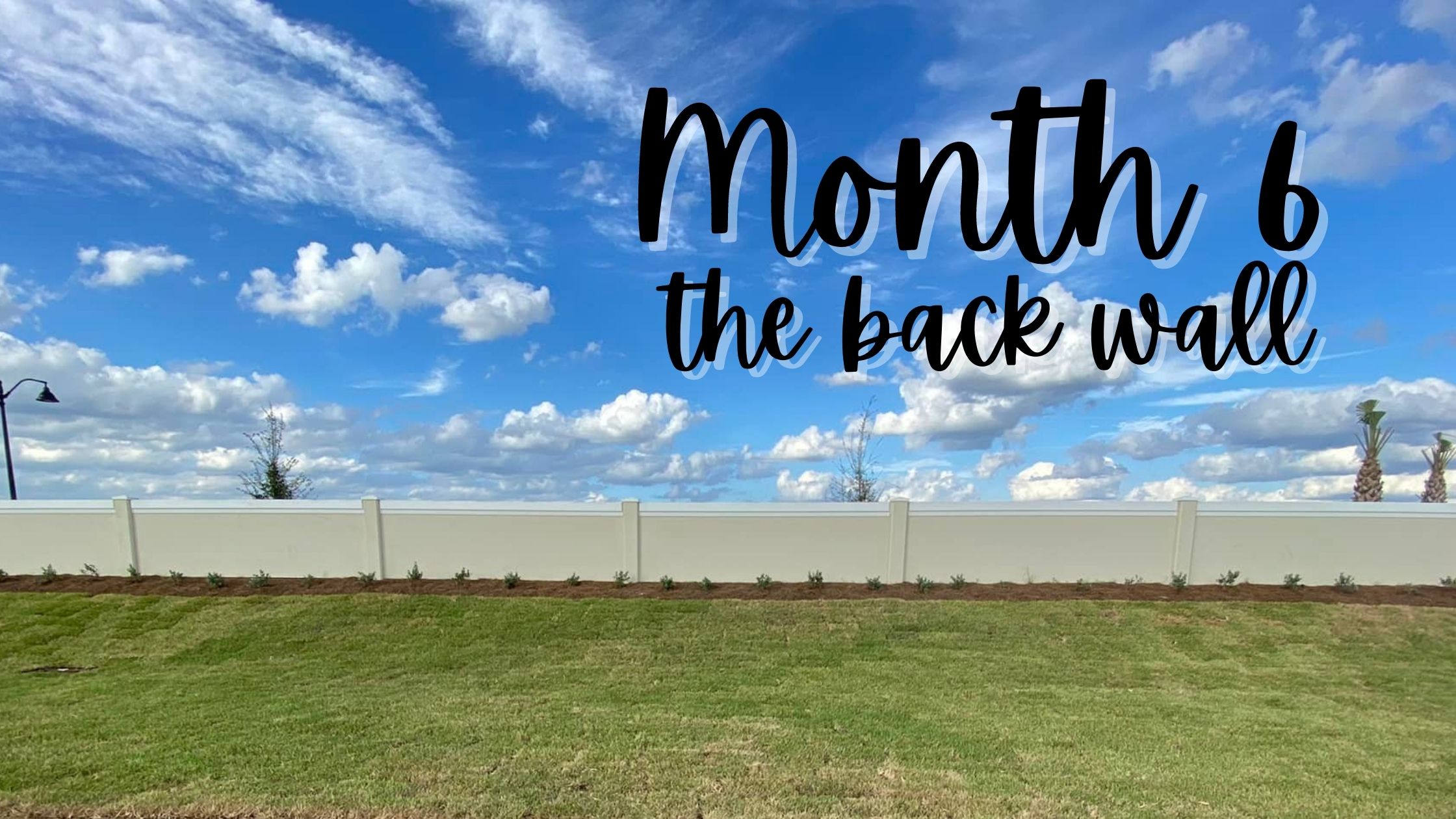 Month 6 of Building a Home with Pulte at Babcock Ranch | Mandy Carter
