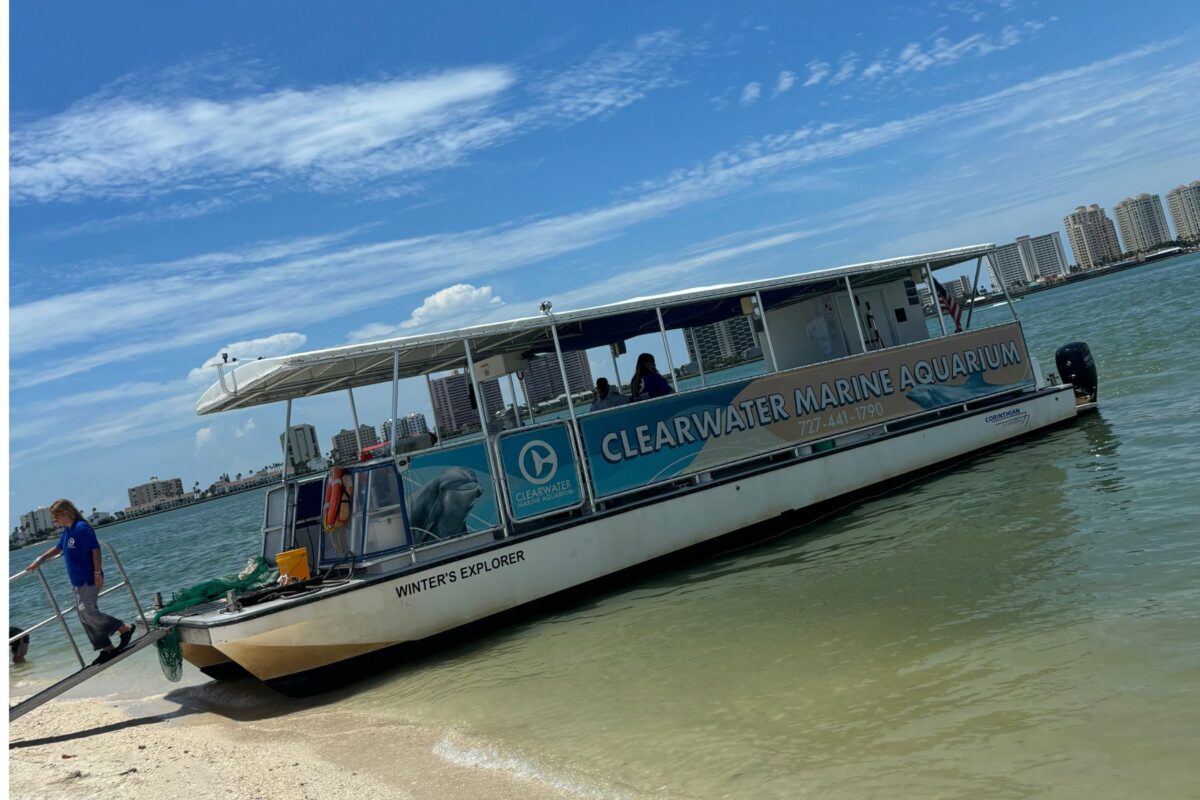 clearwater fun boat