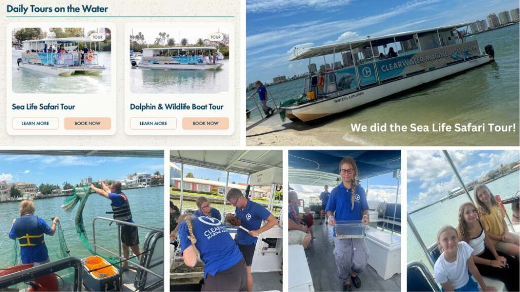 Clearwater Marine Aquarium | Mandy Carter | Clearwater Aquarium Boat Tour |  Family Travel in Florida