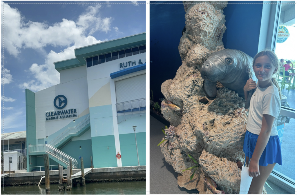 Clearwater Marine Aquarium | Mandy Carter | Clearwater Aquarium Boat Tour | Family Travel in Florida