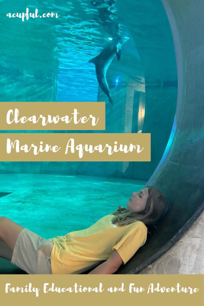 Clearwater Marine Aquarium | Mandy Carter | Clearwater Aquarium Boat Tour